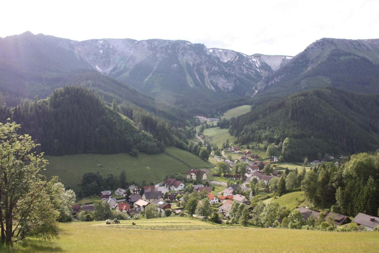 Altenbergerhof Neuberg an der Mürz Buitenkant foto
